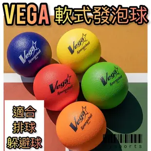 【Vega 元吉】安全發泡球✨ 軟式 發泡球 免充氣 5號球 躲避球 安全躲避球 室內室外皆可 SPG001