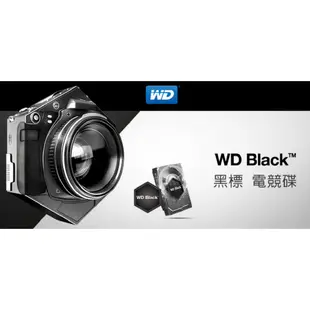 WD 黑標 1TB 3.5吋電競硬碟(WD1003FZEX)