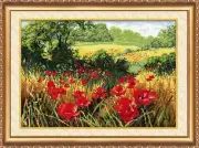 Cross stitch kit - Poppy Field 48x33cm White Aida 14ct needlepoint kit