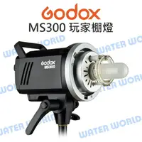 在飛比找樂天市場購物網優惠-神牛 GODOX MS300 玩家棚燈 300瓦 2.4G接