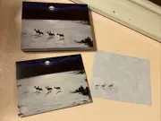 Vintage Laurel Ink Cards & Envelopes 12 Box Seattle Artist Art Deer Elk Winter
