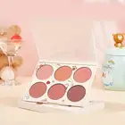 6 Colors Blush Palette For Cheek Makeup Blush Colors Dirty Orange Plum Dried BT5