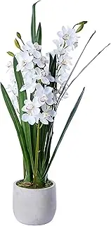 Décor Villa O221W Artificial Orchid Cymbidium, White