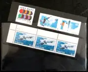 SAFE Sleeves for Approval Cards per 100 (SA744L)