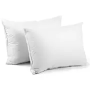 Duck Feather Bed Pillow Set of 2 - White