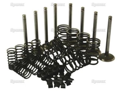 Engine Valve Kit for MF Massey-Ferguson Tractor 165 175 180 255 261 265 270 3060