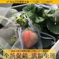 在飛比找樂天市場購物網優惠-防鳥網~草莓防蟲網防鳥袋果實藍莓番茄可收縮防蟲袋透光草莓套袋