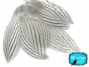 30-50 Pieces Natural White Silver Pheasant Plumage Barred Feathers Jewelry