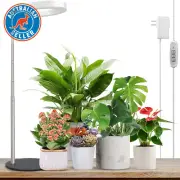 Grow Light, LED Plant Light for Indoor Plants Growing, Full Spectrum Desk Growth