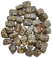 Dalmation Jasper - Tumbled - 1lb - 1/2 to 1 inch pieces - Bulk Lot - lb Pound