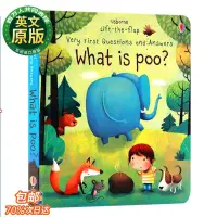 在飛比找露天拍賣優惠-熱銷☆Usborne Very First Question