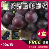 在飛比找momo購物網優惠-【每日宅鮮】台灣巨峰葡萄(400g±5% x4盒／箱 免運 