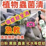 【植物急救】正品質保 一噴全消 萬能蟲菌清殺菌液 高效預防+急救治療各種症狀 花卉果樹盆栽多肉植物通用