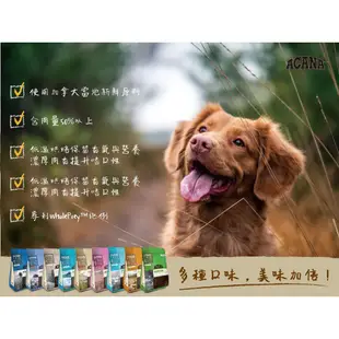 BBUY ACANA 愛肯拿 狗飼料 美膚羊肉+蘋果 無穀飼料 單一蛋白低敏 2KG 6KG 11.4KG 狗糧