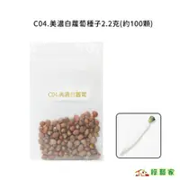 在飛比找蝦皮購物優惠-C04.美濃白蘿蔔種子2.2克(約100顆)日本進口長型根適