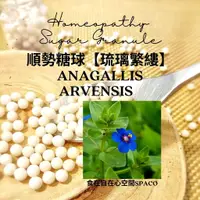 在飛比找蝦皮購物優惠-順勢糖球【琉璃繁縷●Anagallis Arvensis】H