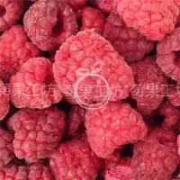 在飛比找ETMall東森購物網優惠-【莓果工坊】新鮮冷凍覆盆莓 (中國)
