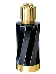 Atelier Versace Iris D'Elite EDP 100ml
