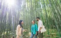 在飛比找KLOOK 客路優惠-京都嵐山竹林 & 花園半日徒步之旅