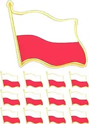 [CINFAC] Poland Flag lapel pin Polish flag pin for Suit jacket bulk