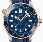 Omega Seamaster Diver 300M Gold Blue Wave 42 210.22.42.20.03.002