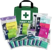 Lewis-Plast Premium First Aid Kit for Home Car Holiday and Workplace - Includes