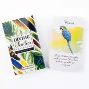 Divine Feather Messenger Tarot Oracle Cards 44 Birds Fate Fortune Divination