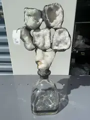 Jamie Dietrich Glass Geode Bottle Art for Decor Embellished w Goedo