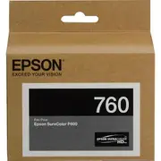 Epson T760 Ultrachrome Light-Light Black Ink - P600
