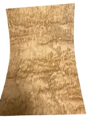 Eucalyptus Pommele wood veneer sheet 10" x 15" on paper backer 1/40" thickness