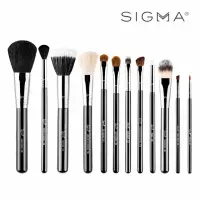 在飛比找momo購物網優惠-【Sigma】刷具12件組-Essential Brush 