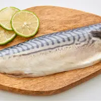 在飛比找yesgogogo優惠-【凍凍鮮】挪威薄鹽鯖魚片 -20入組