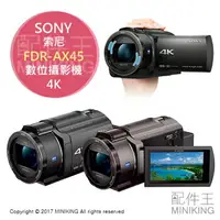 在飛比找樂天市場購物網優惠-日本代購 空運 SONY FDR-AX45 4K 數位攝影機