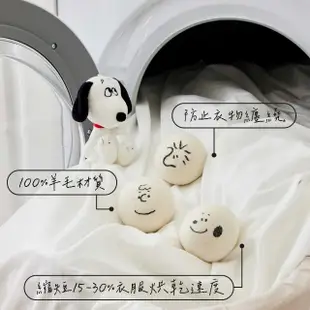 【SNOOPY 史努比】100%羊毛烘衣球 6顆/2盒(附收納袋)