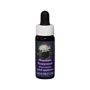 Fes Flower Essences FES Quintessentials Mountain Pennyroyal 7.5ml