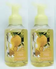 2 Bath & Body Works SUNSHINE & LEMONS Gentle Foaming Hand Soap