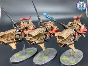 Warhammer 40k Custodes "Vertus Praetors"