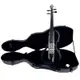 庫存品出清-JYC Music SV-150斑馬紋靜音提琴-含硬殼/配件/僅此一把