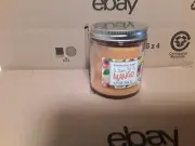 Huntington Home It Takes Two to Mango Single Wick Scented Candle Soy 6.5 oz New