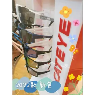 現貨 2021新品 CATEYE A.R.III 2片式偏光太陽眼鏡 太陽眼鏡 貓眼太陽眼鏡  捷安特眼鏡 防霧眼鏡