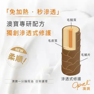 【OPAL 澳寶】一分鐘焗油-日常護理 300ml