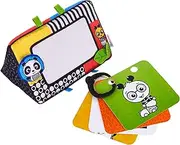 Baby Einstein Flip for Art Mirror and Flashcard Set