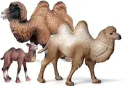 KEYUM Camel Toys Figurines Set, Wild Animal Model Llama Toys for Nature Science Learning, Wildlife Theme Party Supplies Cake Toppers, Family Pack of 3
