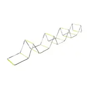 Agility Ladder