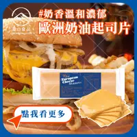 在飛比找蝦皮購物優惠-【富山食品】歐洲奶油起司片 84片/包 奶油起司 切達起司 