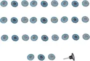 Flap Disc 2in 5cm Flat Blue Zirconia Alumina 40 60 80 Grits for Grinding Blending Sanding Paint Ferrous Stainless Steel Wood Plastics