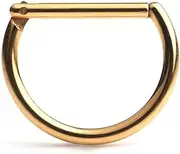 [Ruifan] 316L Stainless Steel D Shaped Hinged Seamless Segment Hoop Septum Clicker Ring Lip Helix Tragus Cartilage Earrings Nose Rings Pirecing 16g 10mm