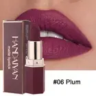 Velvet Nude Lipstick Lip Makeup Long Lasting Matte Lip Gloss Lip Cosmetic ☆