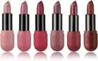 Joyeee Lipstick Set, Matte Long Lasting Waterproof Makeup Gift Kit for Women ...