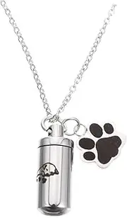 Ashes Necklace Dog Remembrance Dogs Dog Memorial Paw Pet Memorial Animal Dog Pee Pads Dachshund Small Urns for Ashes Dog Necklace Dog Hair Memorial Kit Stainless Steel Silver